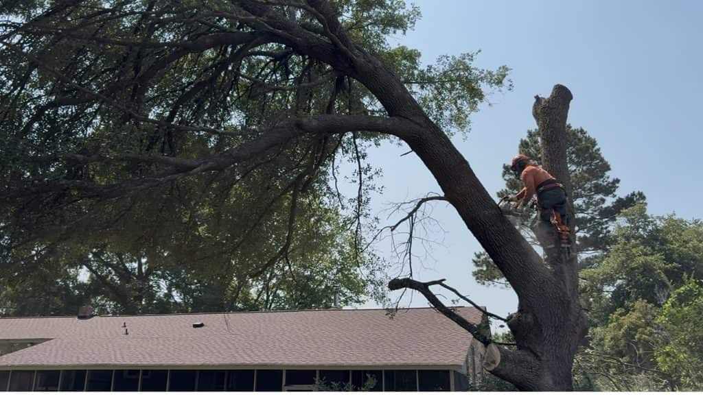 Tolbert's crew on storm cleanup job Columbia SC