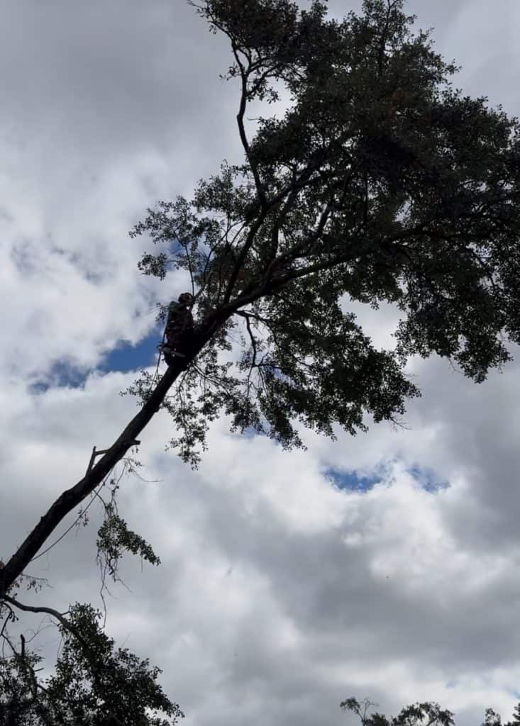 Tolbert's Tree Service founder