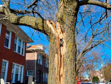 Storm cleanup after tornado damage
