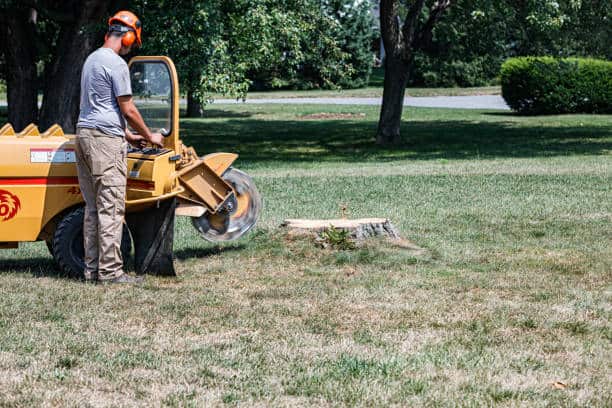 High-power stump grinding services
